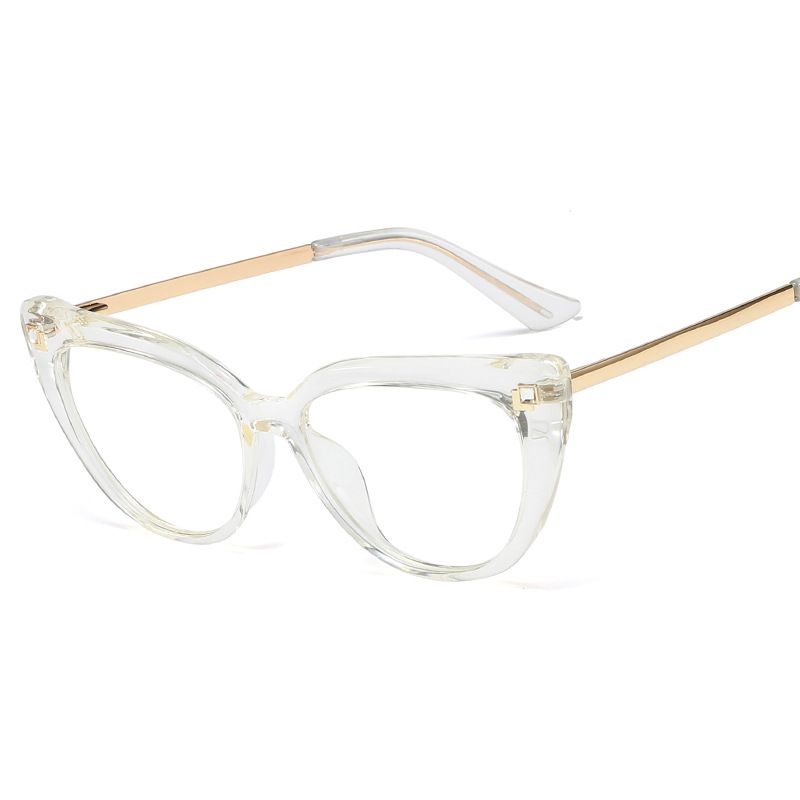 eyeglass organizer